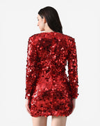 Scarlet Sequin Dress