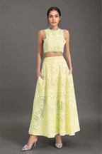 #color_yellow